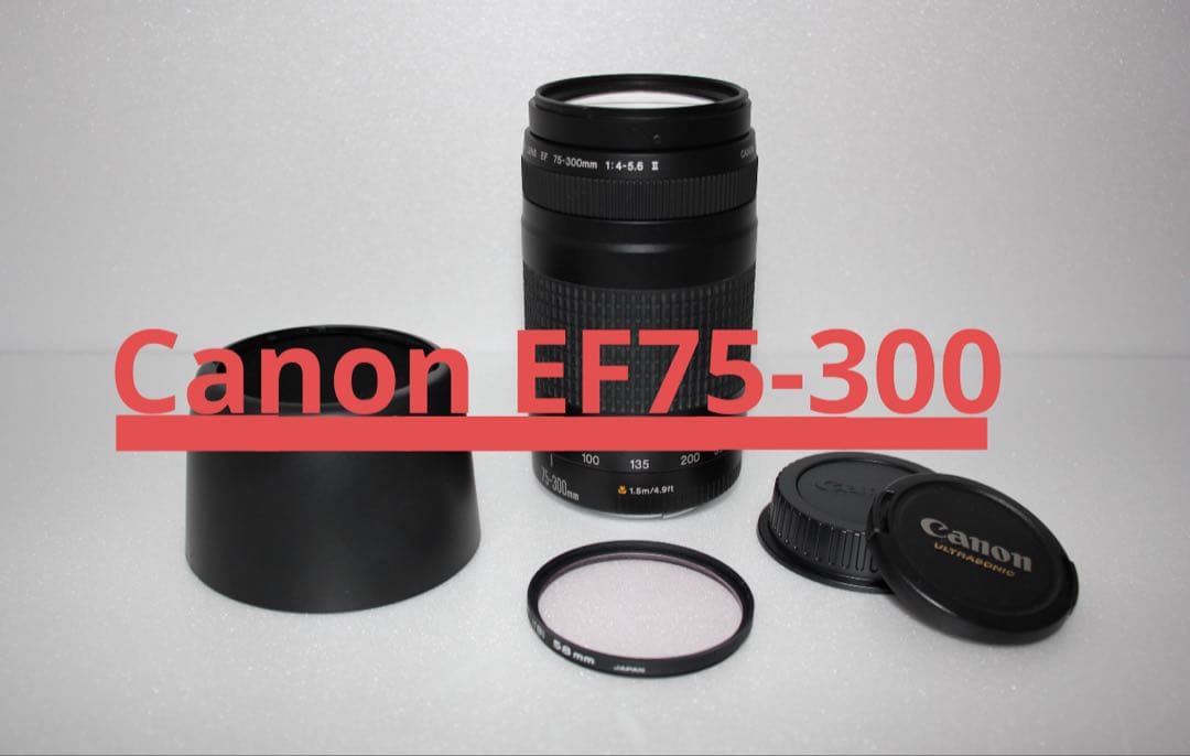 美品/スポーツ/イベント/望遠レンズ/Canon EF75-300㎜