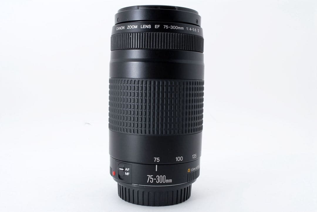 美品/スポーツ/イベント/望遠レンズ/Canon EF75-300㎜