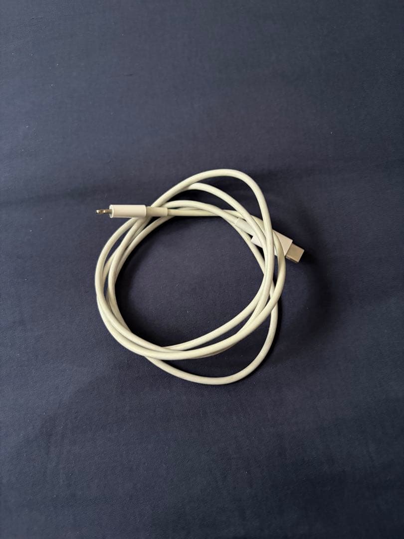 iPad 無印第9世代(64GB)本体とペンと充電ケーブル付き