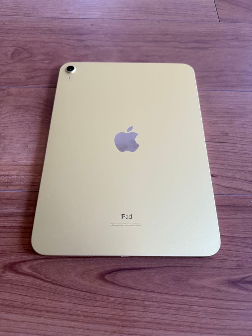 iPad 10世代　64GB WIFIモデル 極美品　完動品