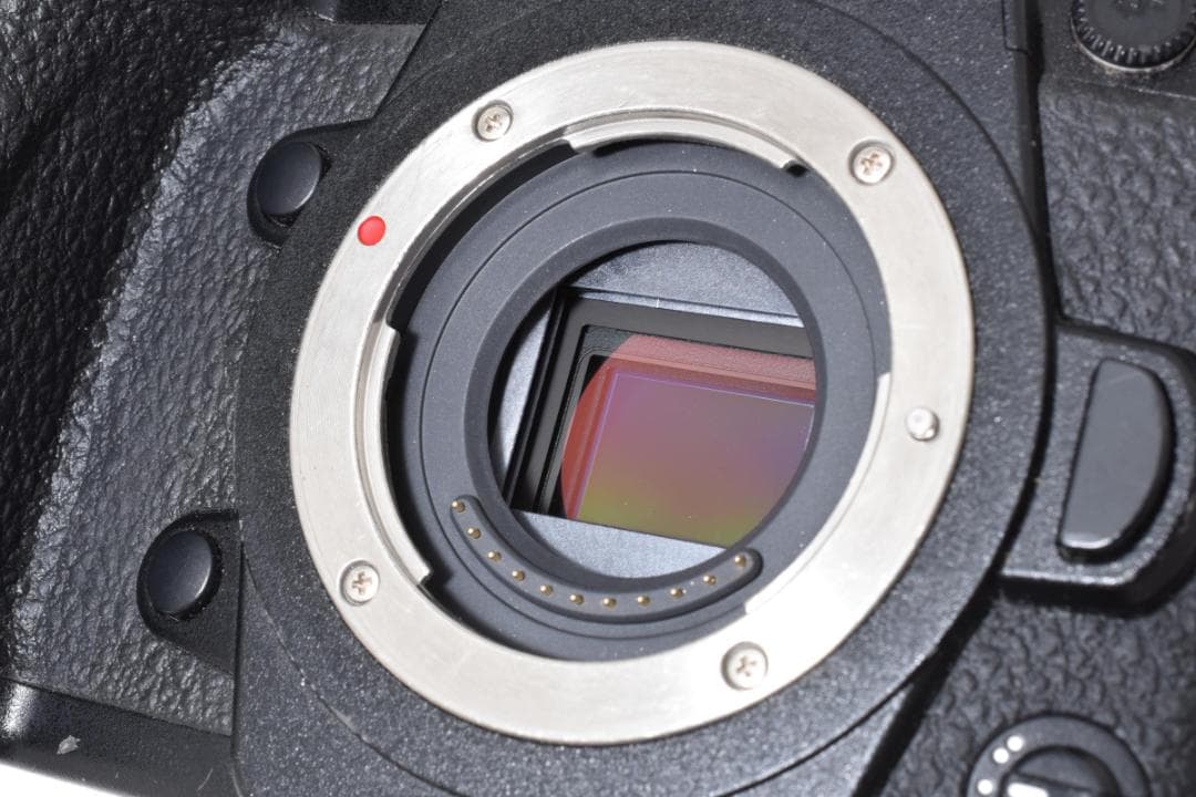 Panasonic LUMIX DC-G9 パナソニック ミラーレス一眼カメラ