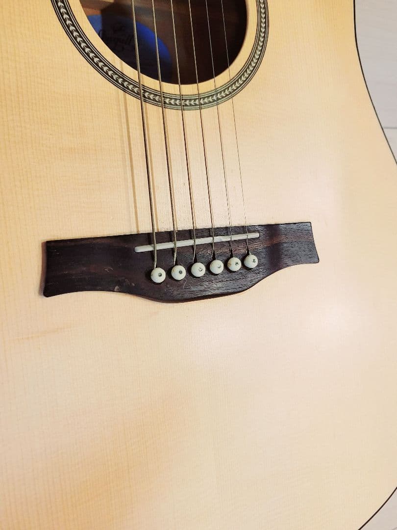 アコギSeagull + ピックアップ