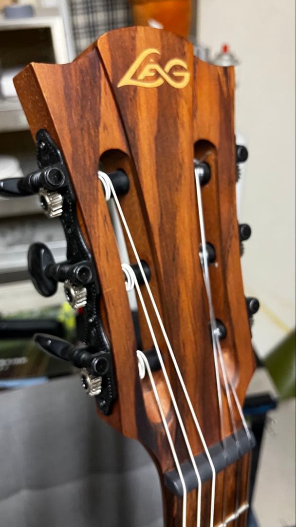 Lag Tramontane TN170ACE エレガットギター