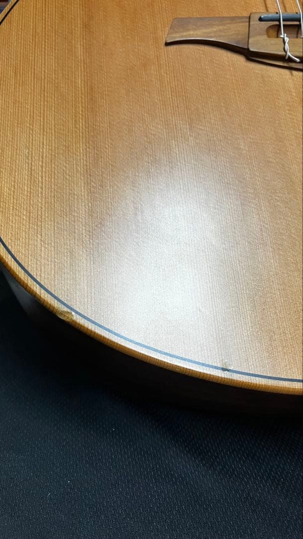 Lag Tramontane TN170ACE エレガットギター