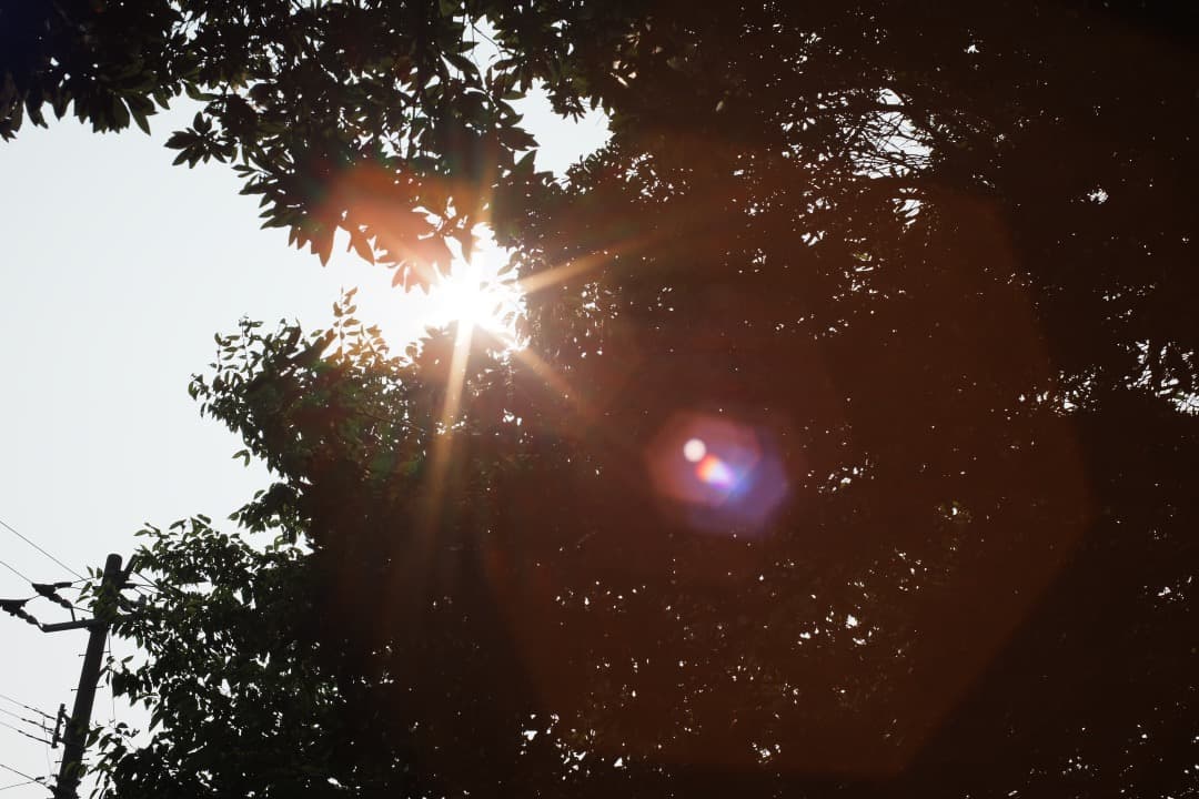 【この値段でライカ級】富岡光学製 XR RIKENON 50mm F2 660