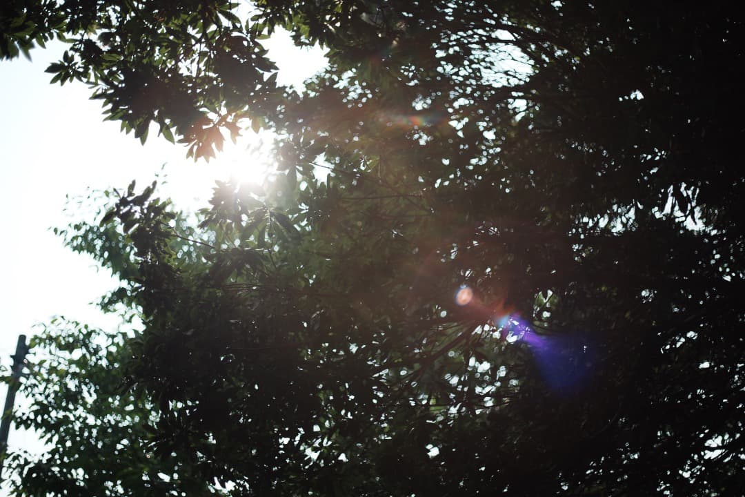 【この値段でライカ級】富岡光学製 XR RIKENON 50mm F2 660