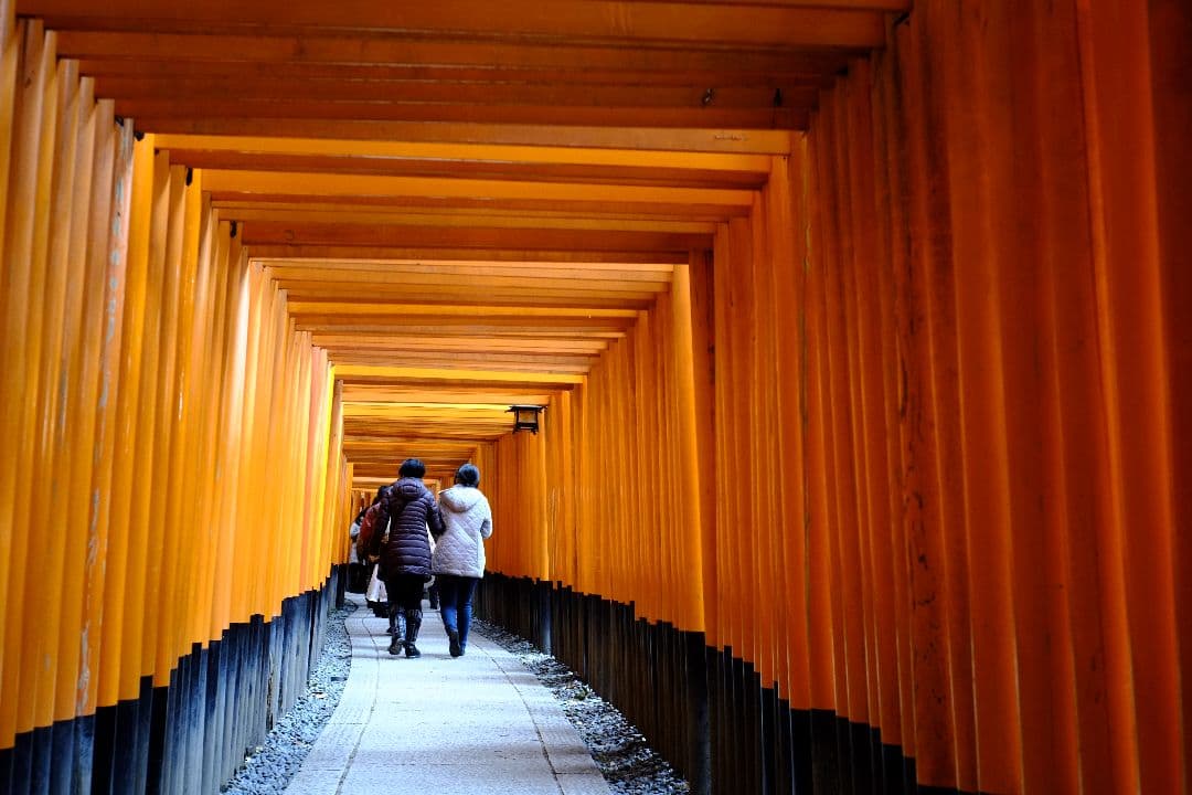 Cooke Speed Panchro 32mm f2 スピードパンクロ