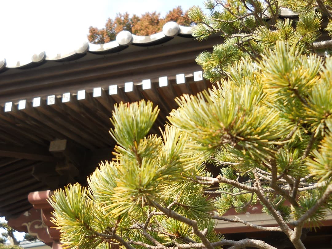 追加あり⭕️【動作確認済】Nikon COOLPIX L21 デジカメ　シルバー