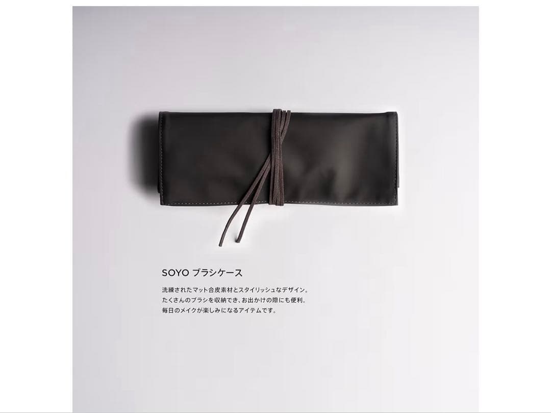 SOYO スタンダード デイリー セット（7本＋ケース付）