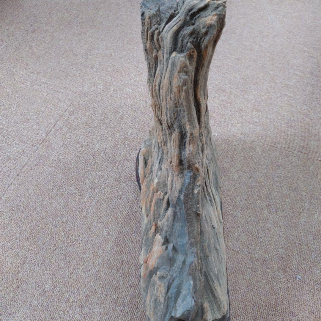 珪化木　水石　鑑賞用