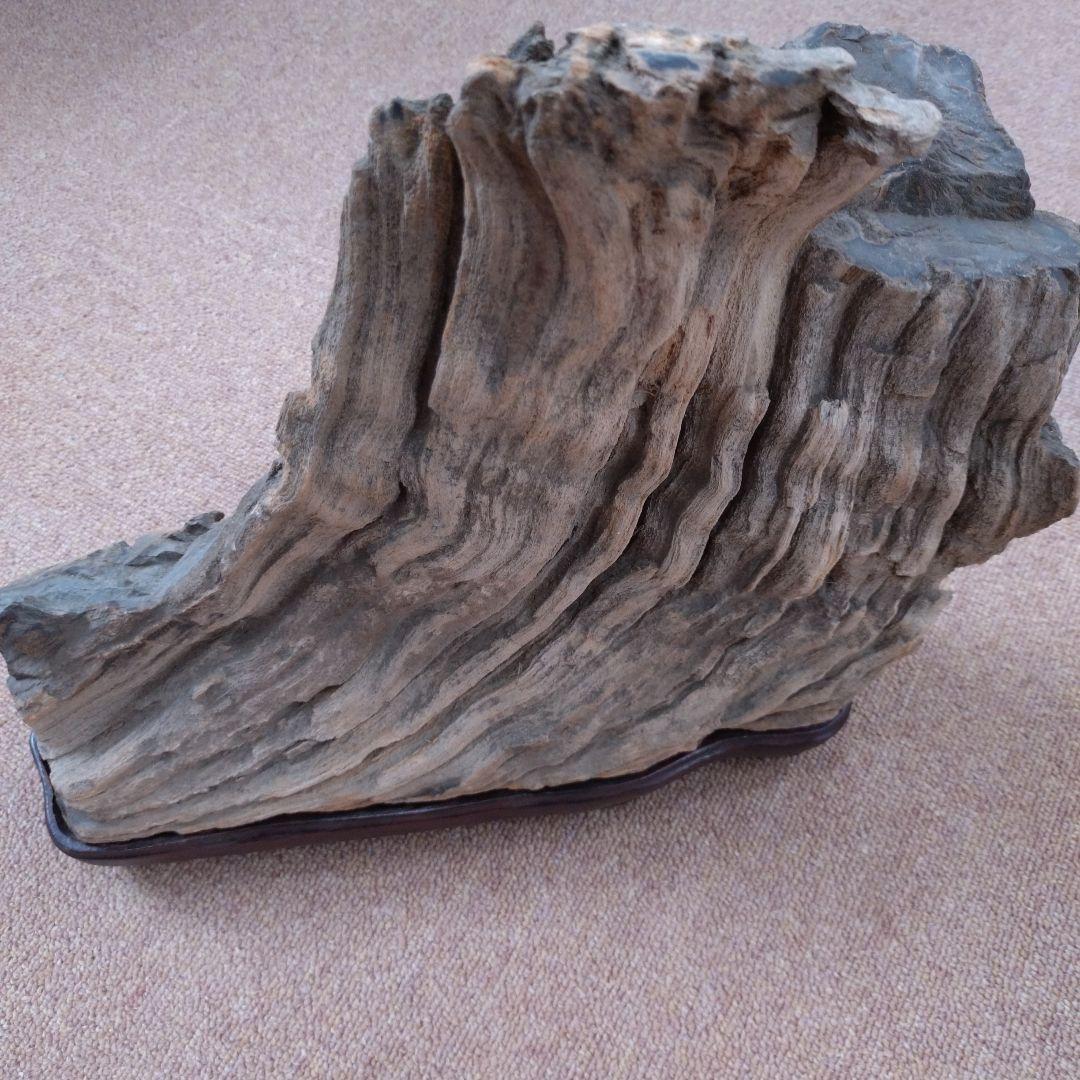 珪化木　水石　鑑賞用