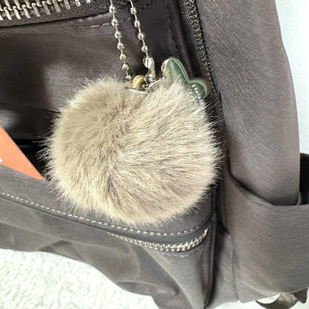 現行✨カナナプロジェクト　リュック　プレミアム LTD 17922 【新品】