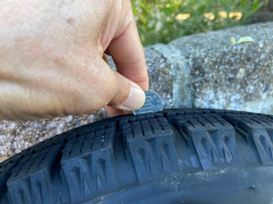 ももがみその②