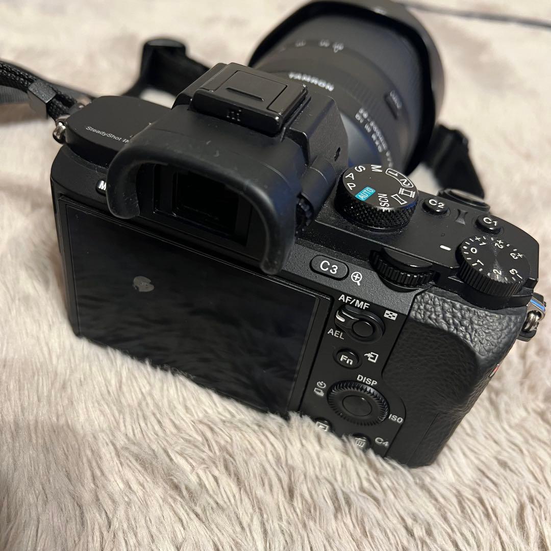 SONY α7Ⅱ+ TAMRON 28-200mm F/2.8-5.6