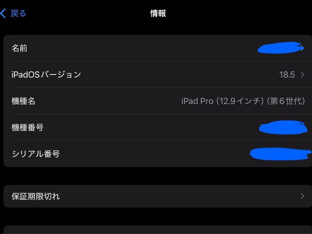 iPad Pro(第6世代)+Apple Pencil(第2世代)
