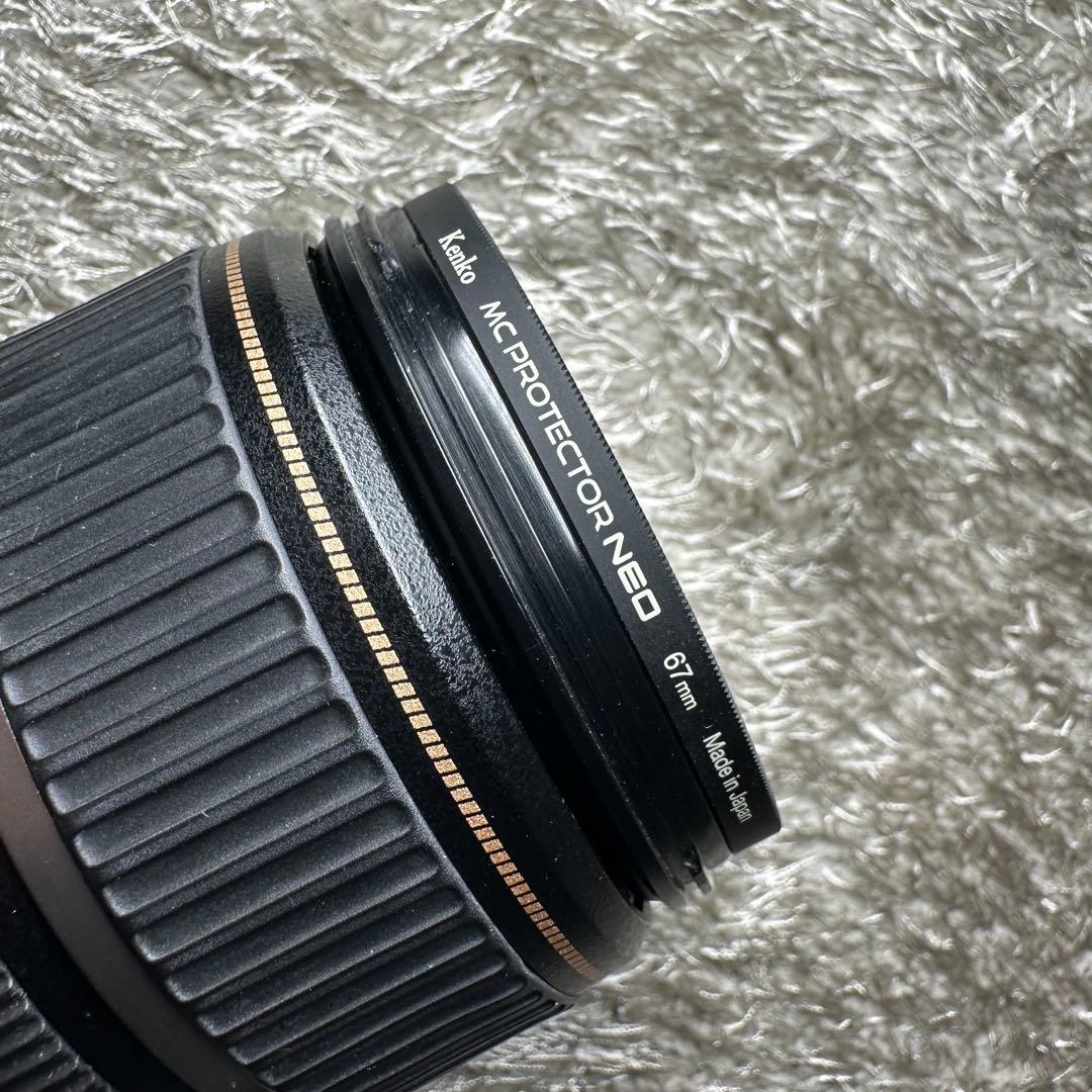 Canon EF-S 17-85mm ズームレンズ