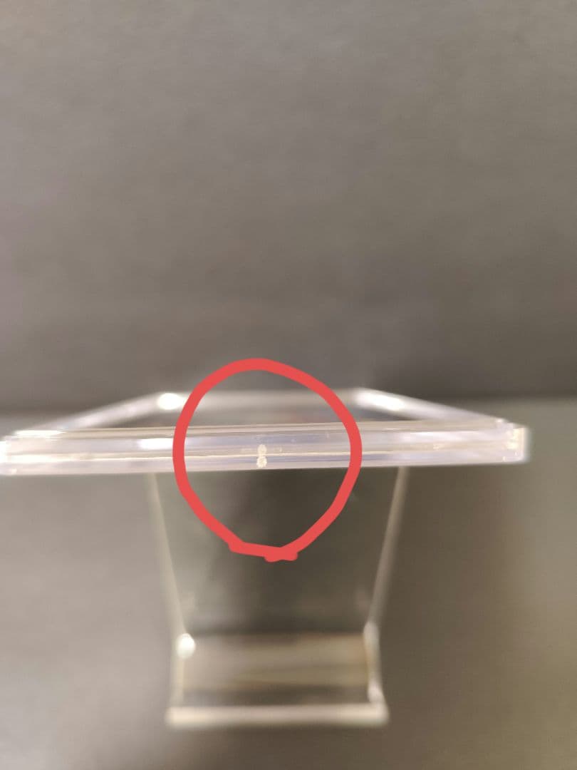 PSA10 カミツレのきらめきSR ポケモンカード