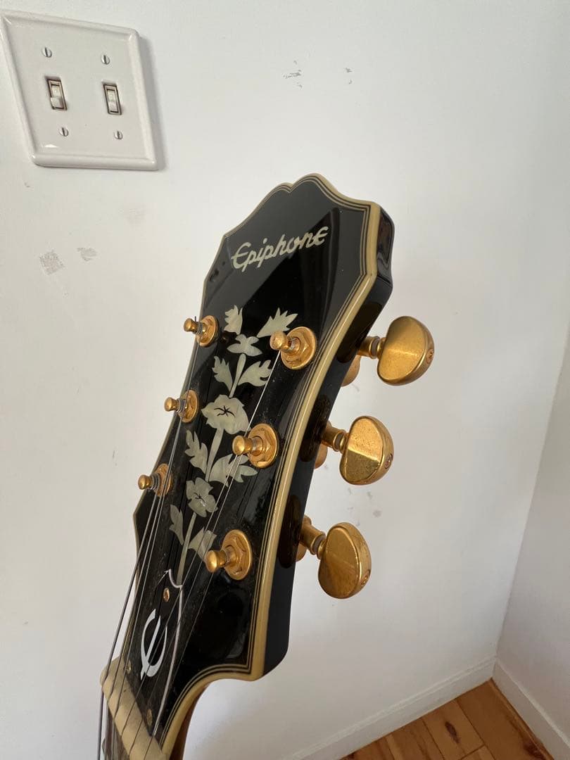 rururu　epiphone sheraton Ⅱ pro vs