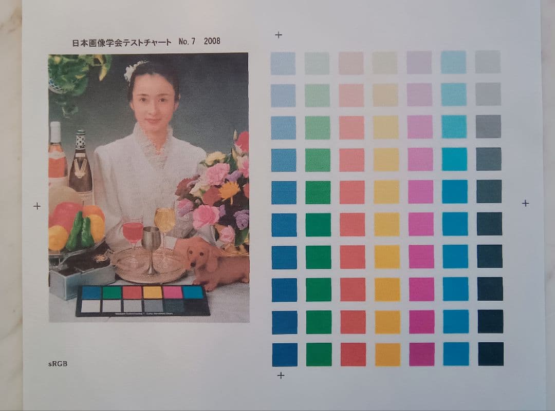 【美品】CANON PIXUS iP110 モバイルプリンタ