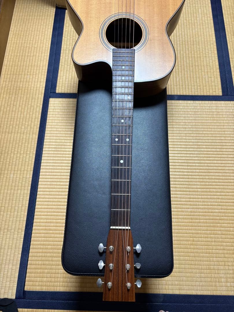 Asturias Solo Standard 国産　最終値下げ