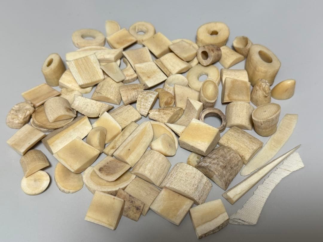 鯨歯マッコウクジラの歯 さまざまな形状。形状 さまざまな形状 重量：233g