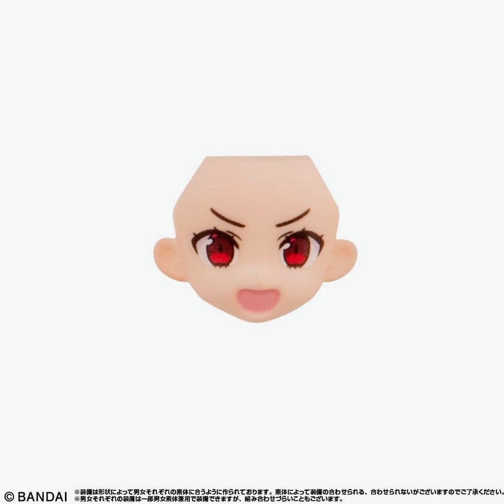 タ*ー様 リンクトラベラーズ ～大海原の大決戦！編～SIDE:G 全17種　フル