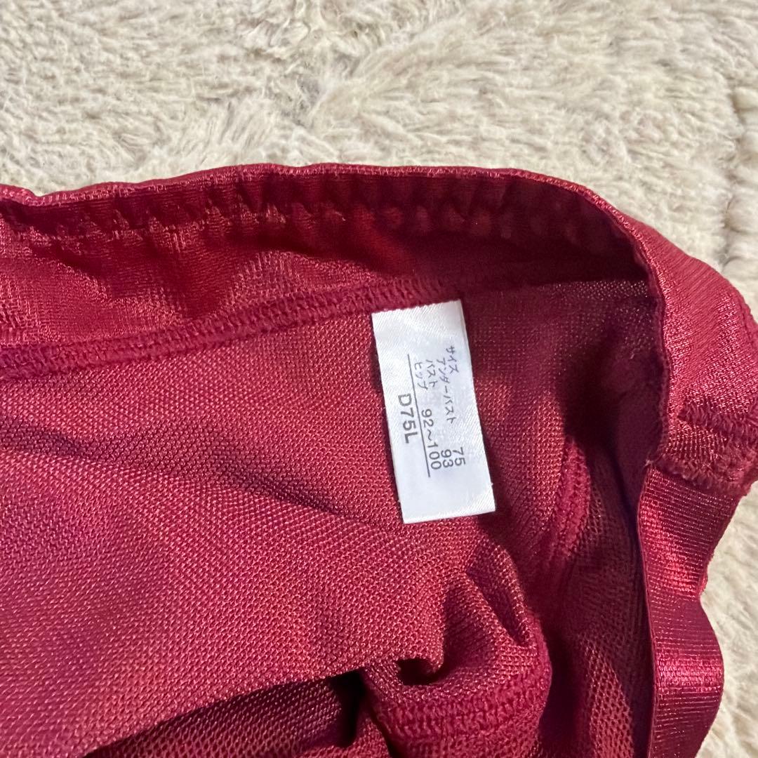 マルコ　カーヴィシャス　D75L