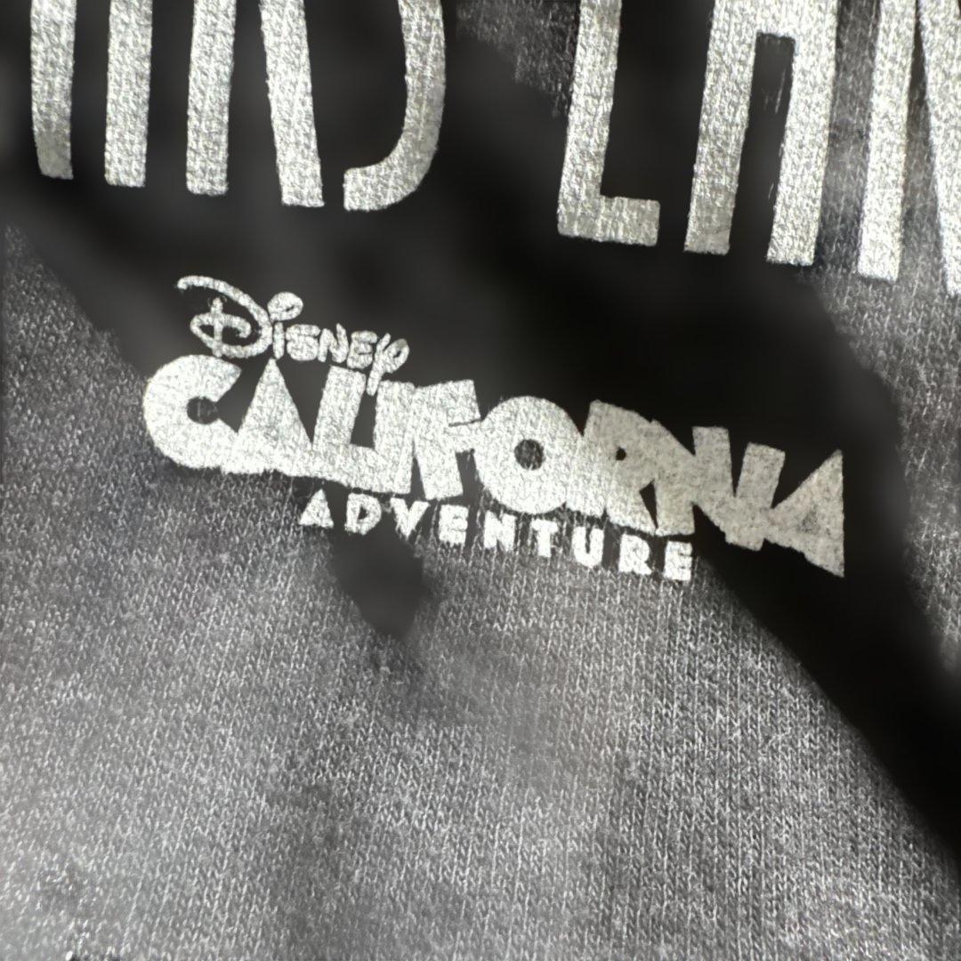 希少品 OLD DISNEY カリフォルニア カーズ ジップアップ パーカー