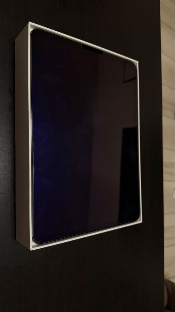 Apple iPad Pro 11インチ スペースグレー