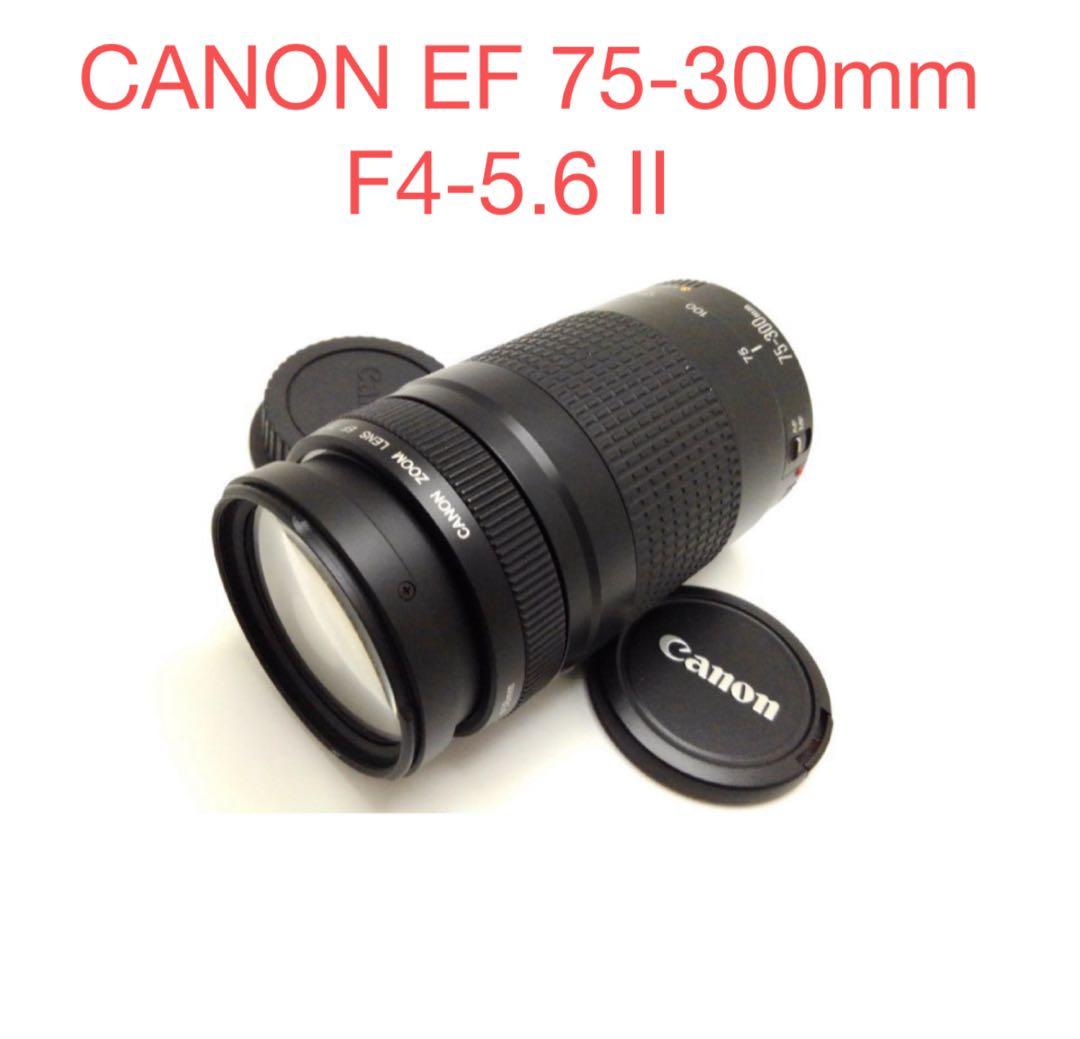 キャノン☆動作品☆CANON EF 75-300mm F4-5.6 II☆