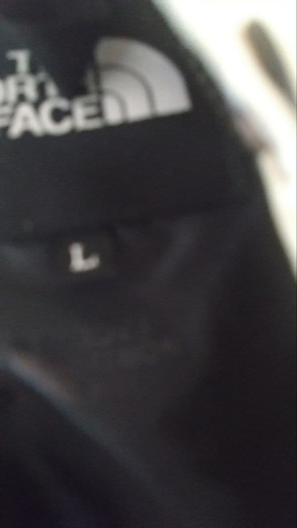 本日限定価格THE NORTH FACE マウンテンライトジャケット L