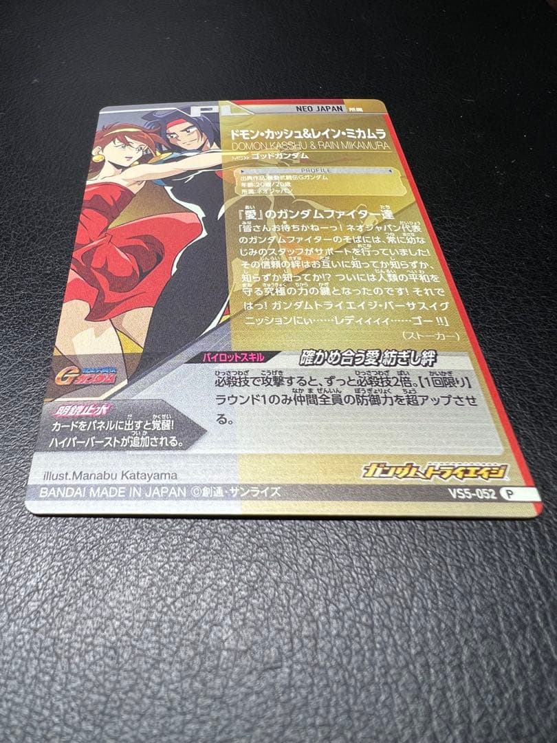 ドモン・カッシュ&レイン・ミカムラ　VS5-052