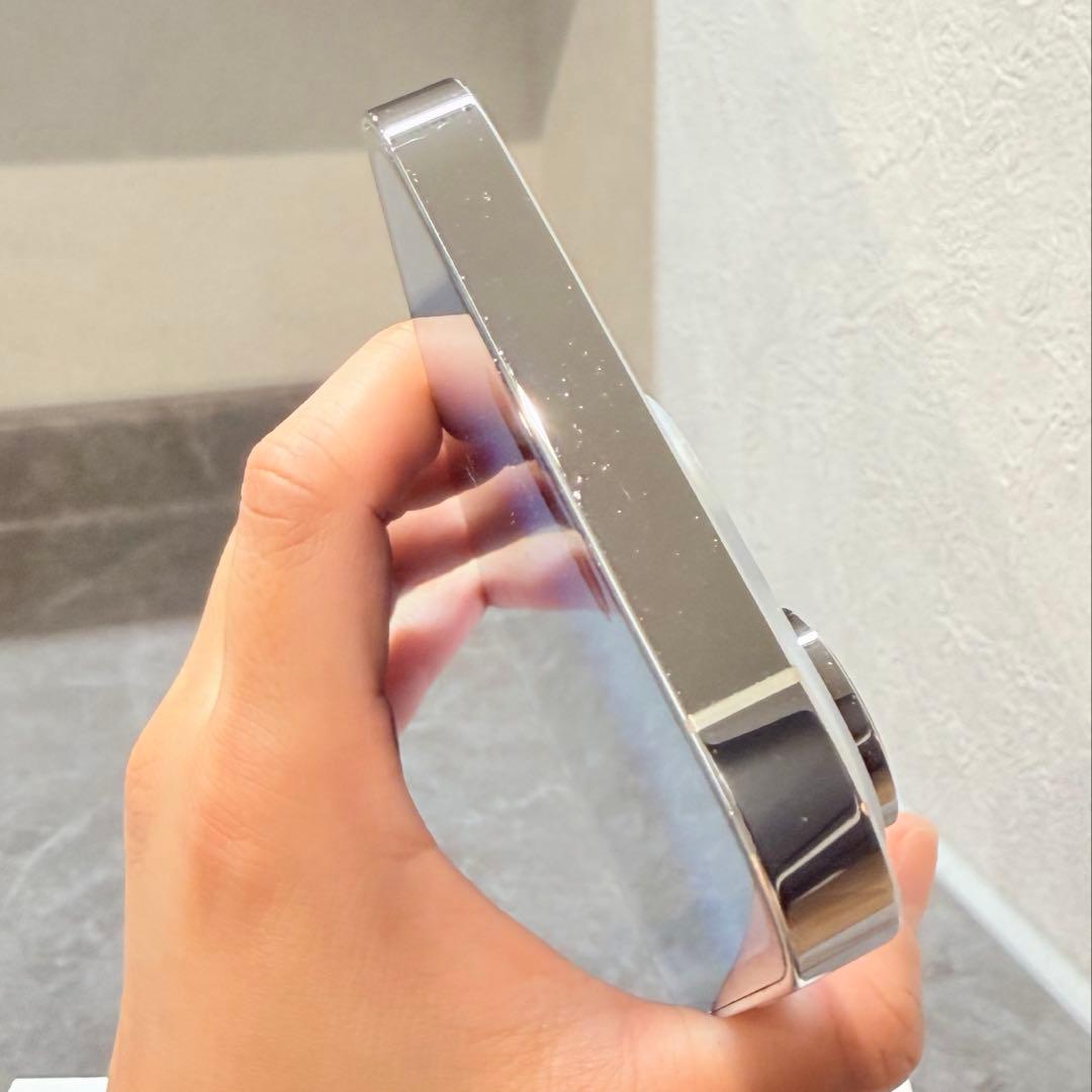 Apple iPhone 14 Pro シルバー　256GB 本体 77%