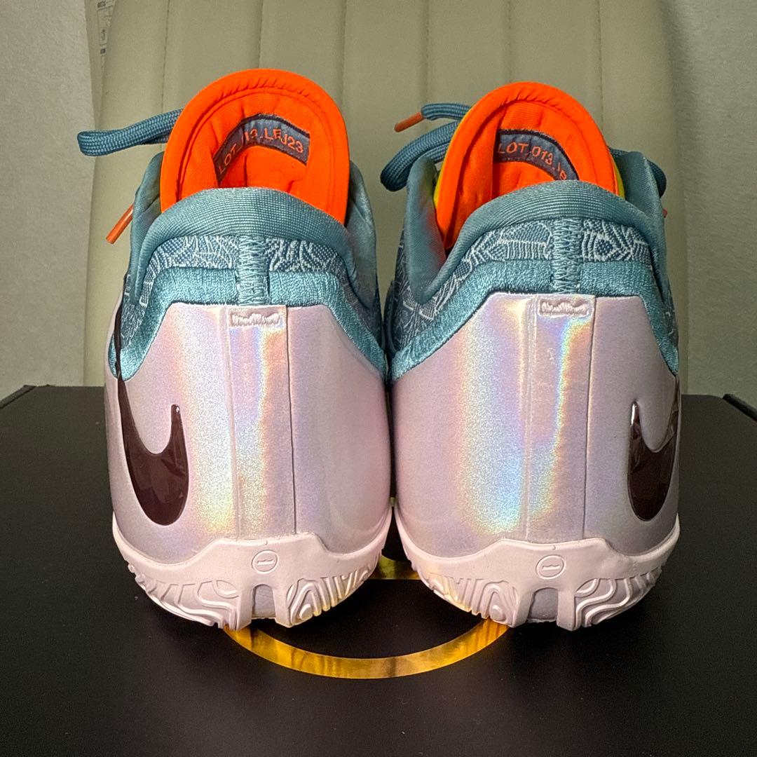 【1回のみ使用】　LEBRON 23 29cm