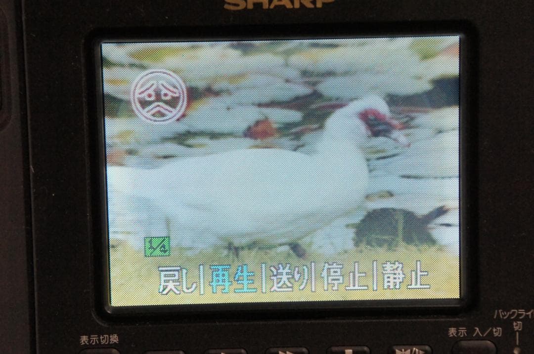 動作品★シャープ　VL HL100　Hi8 ビデオカメラ 8mm 0212