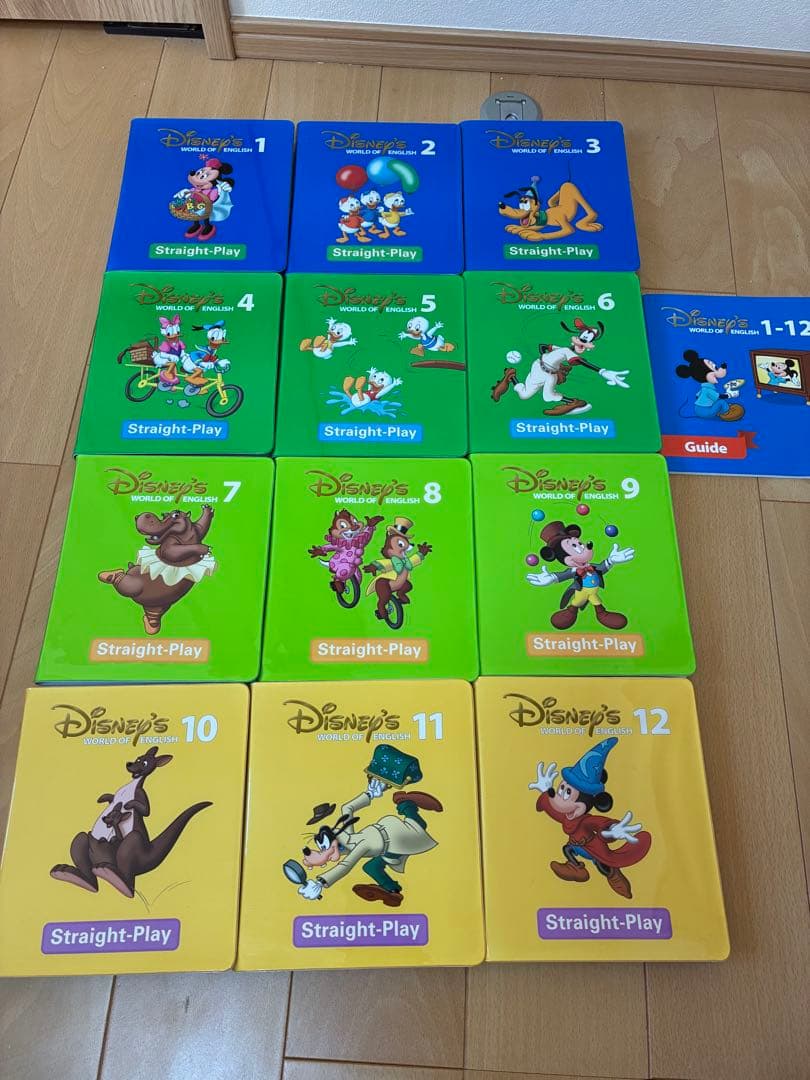 2018年購入 DWE ストレートプレイ　DVD 新子役