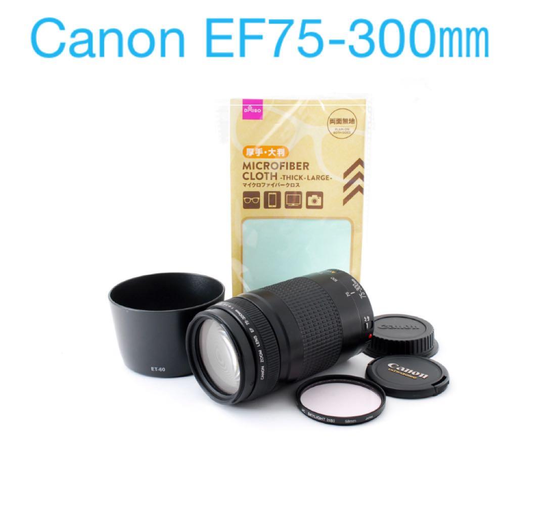 キャノン☆超望遠レンズ☆付属品付☆Canon EF75-300㎜　II☆