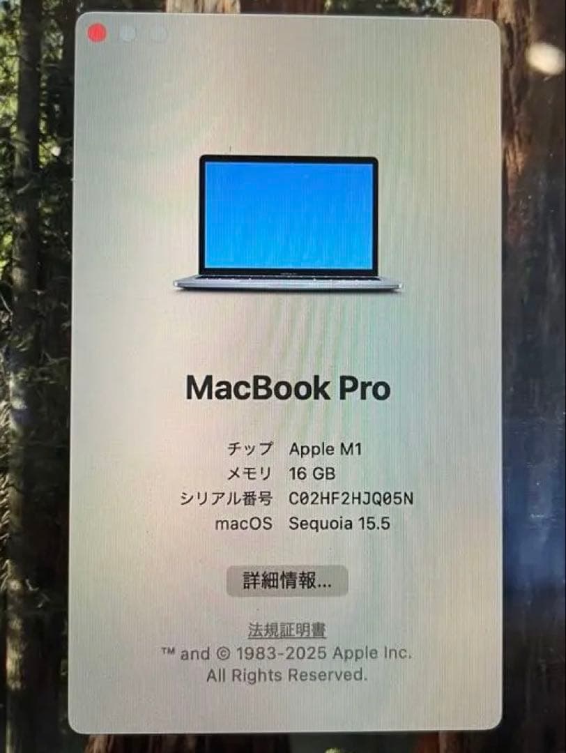 【メモリ16G】MacBook Pro 13インチ2020 M1 256GB