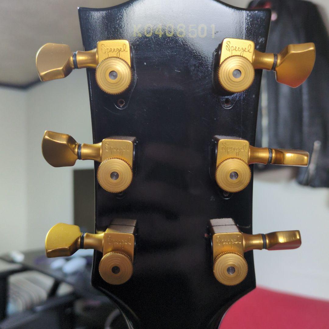 ギター ESP navigator N-LP-320CTM