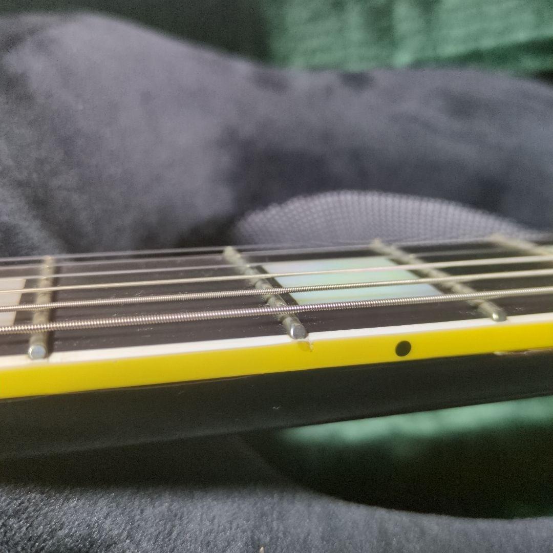 ギター ESP navigator N-LP-320CTM