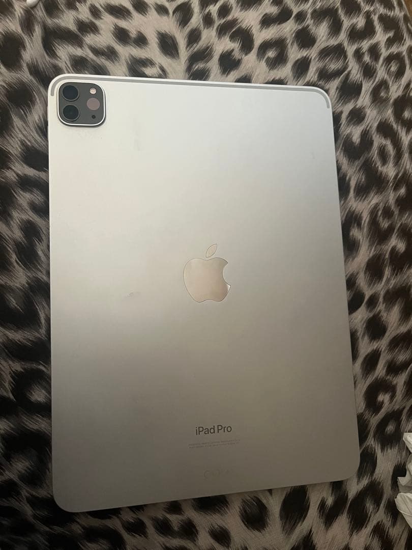 Apple iPad Pro 11インチ 4世代　256G