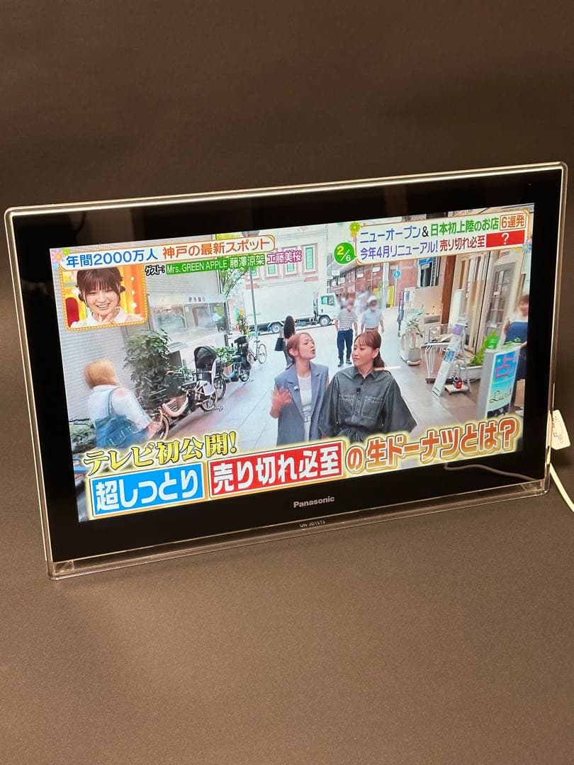 Panasonic VIERA 15 UN-JD15T3 プライベートビエラ