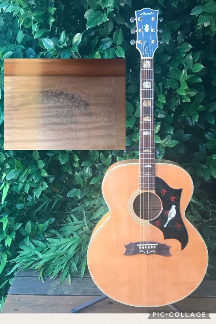 Morales Ｍ450 J-180model モラレス