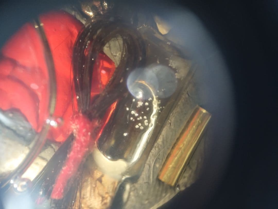 タイのお守り　プラクルアン　5人女性精霊お守り　恋愛　幸運　金運