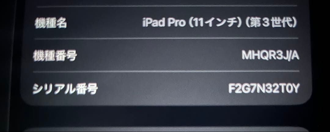 【準ジャンク品】iPad pro (11インチ 第3世代)