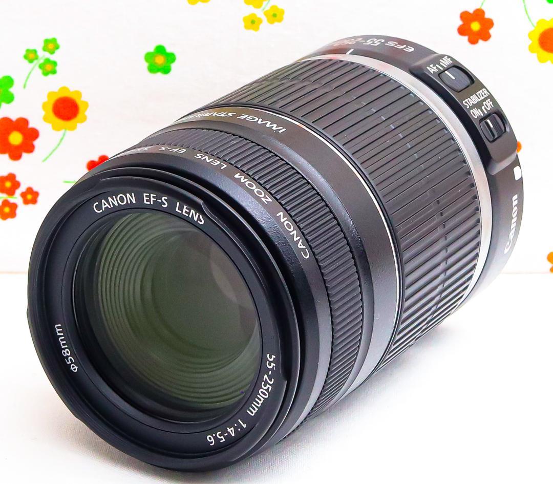 美品☆Canon EF-S 55-250mm IS☆お手軽望遠レンズ♪