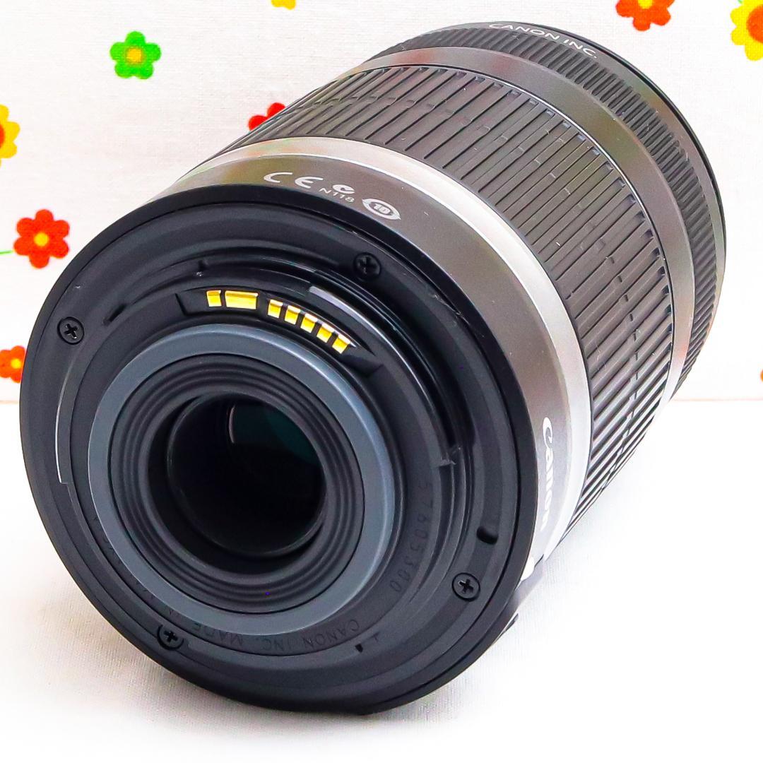 美品☆Canon EF-S 55-250mm IS☆お手軽望遠レンズ♪