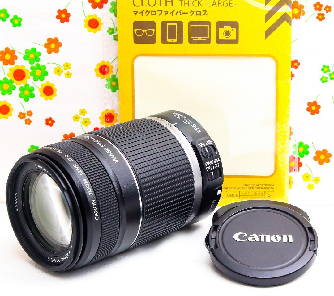美品☆Canon EF-S 55-250mm IS☆お手軽望遠レンズ♪
