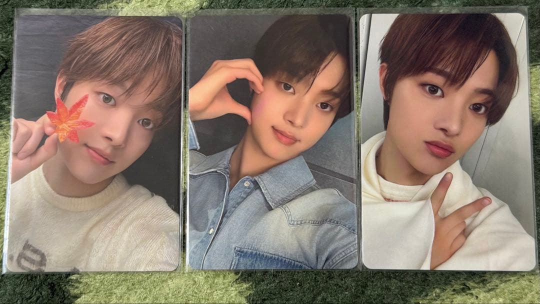 &TEAM EJまとめ売り36枚 春 夏 秋 冬 月狼