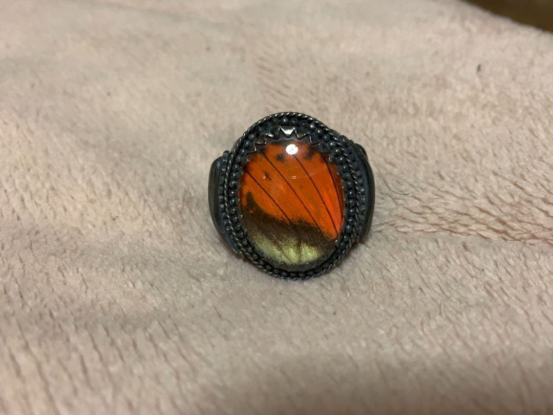 Juvenilia リング　モルフォ蝶　セブンバイセブン